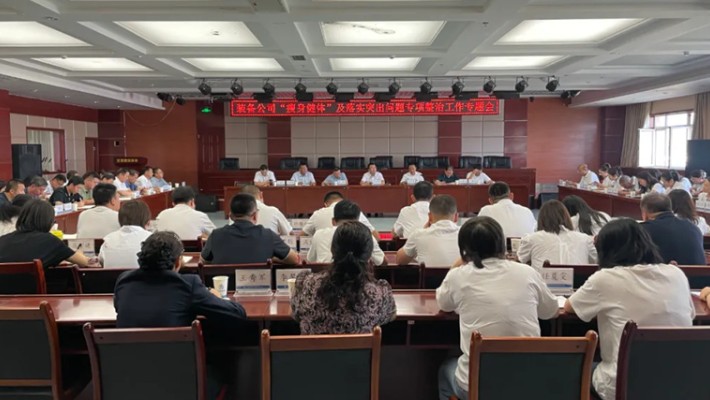 裝備公司召開瘦身健體暨落實(shí)突出問題專項(xiàng)整治工作專題會